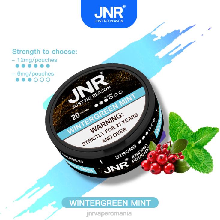 JNR vape shop - pungi de energie jnr mentă de iarnă X058J106