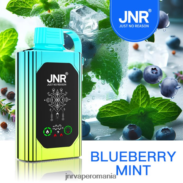 JNR SHISHA cutie JNR vape nicotine content - mentă de afine PL826V88