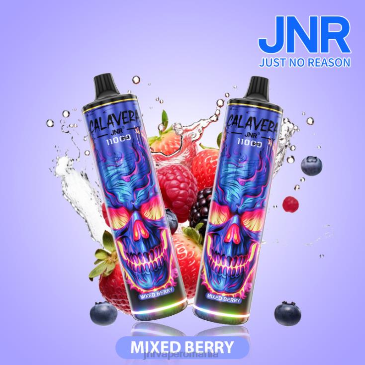 JNR vape Romania - jnr calavera fructe de padure amestecate X058J310