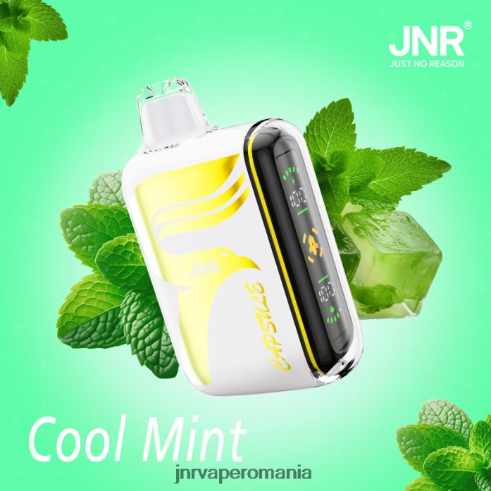 JNR capsulă JNR vape Romania - menta rece PL826V62