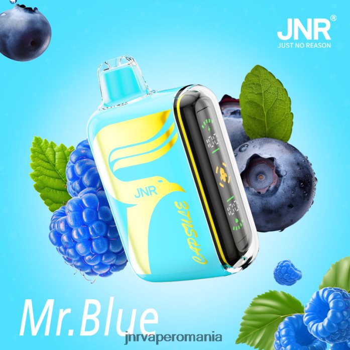 JNR capsulă JNR vape review - domnule albastru PL826V64