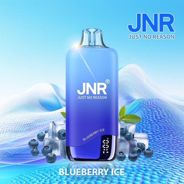 JNR vape bucharest - jnr curcubeu gheata de afine X058J253