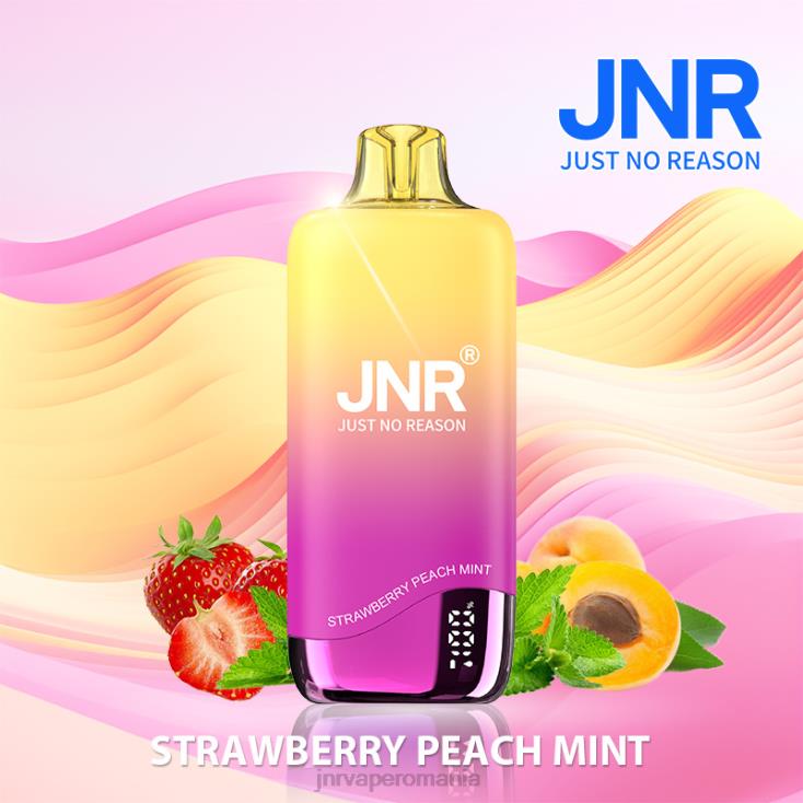JNR vape flavours - jnr curcubeu căpșuni piersici mentă X058J267