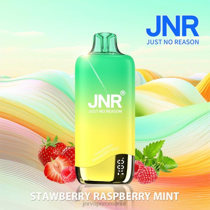 JNR vape pods - jnr curcubeu capsuni zmeura menta X058J268