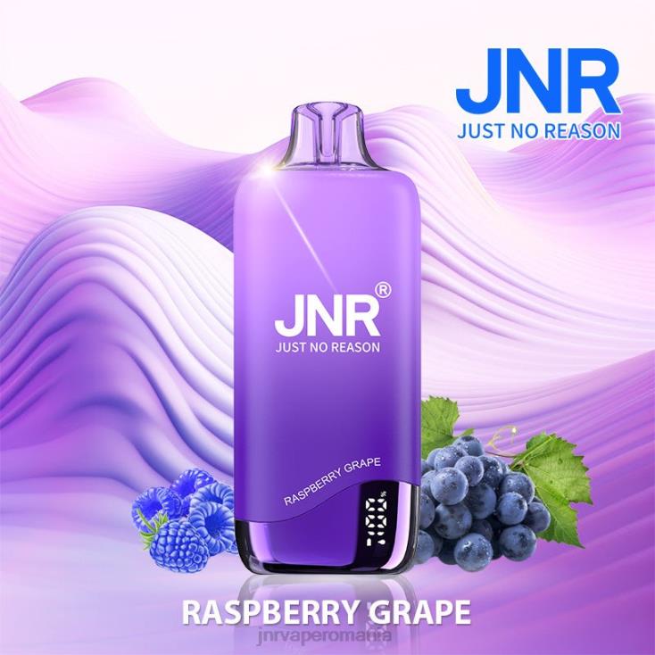 JNR vapes website - jnr curcubeu struguri de zmeura X058J261