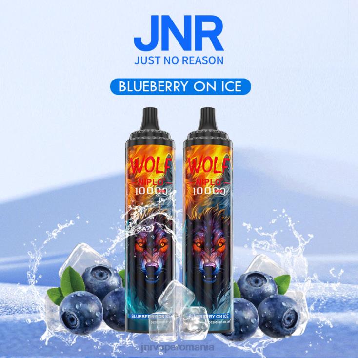 JNR vape pods - jnr lupul niplo afine pe gheață X058J358