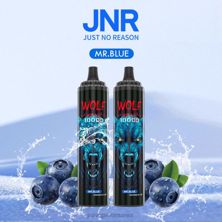 JNR vape shop - jnr lupul niplo domnule albastru X058J346