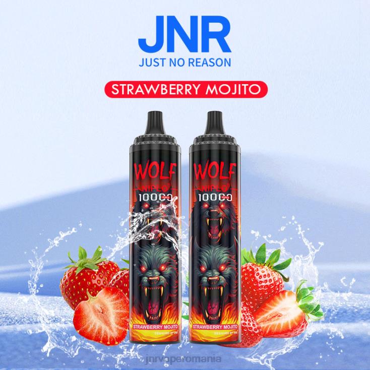 JNR vapes factory - jnr lupul niplo mojito cu căpșuni X058J355