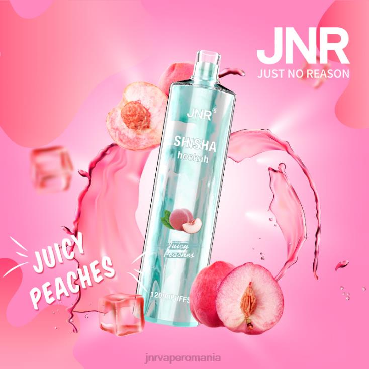 JNR vape Romania - jnr shisha piersici suculente X058J180