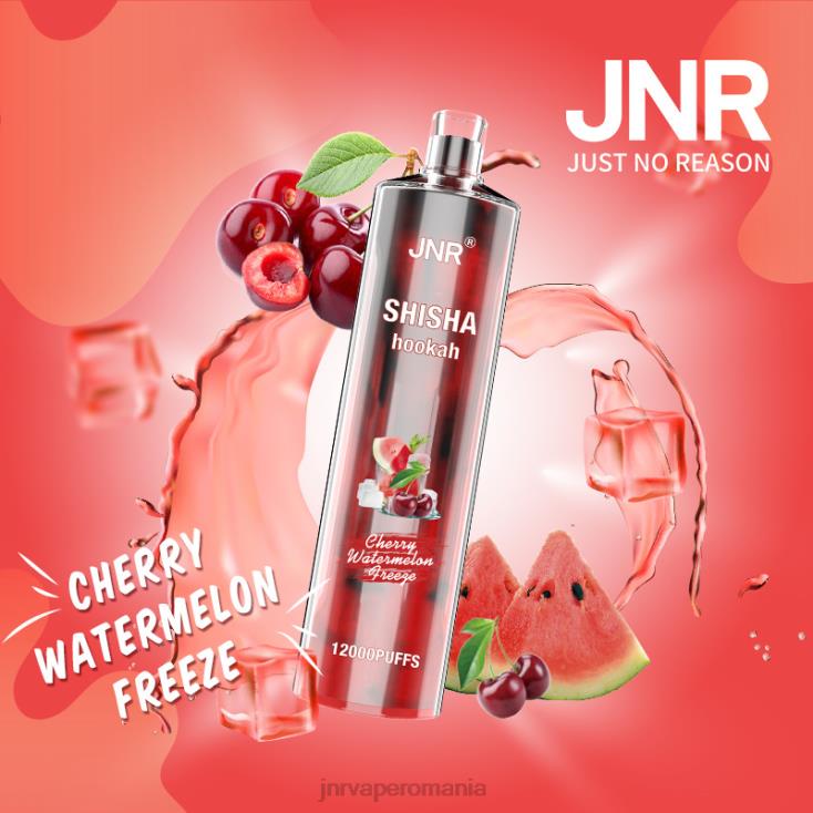 JNR vape bucharest - jnr shisha pepene verde cireș înghețat X058J163