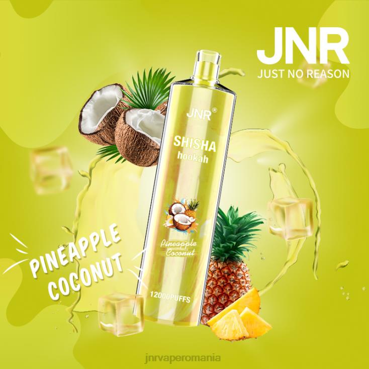 JNR vape flavours - jnr shisha nucă de cocos de ananas X058J167