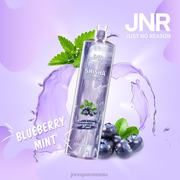 JNR vape - jnr shisha mentă de afine X058J172