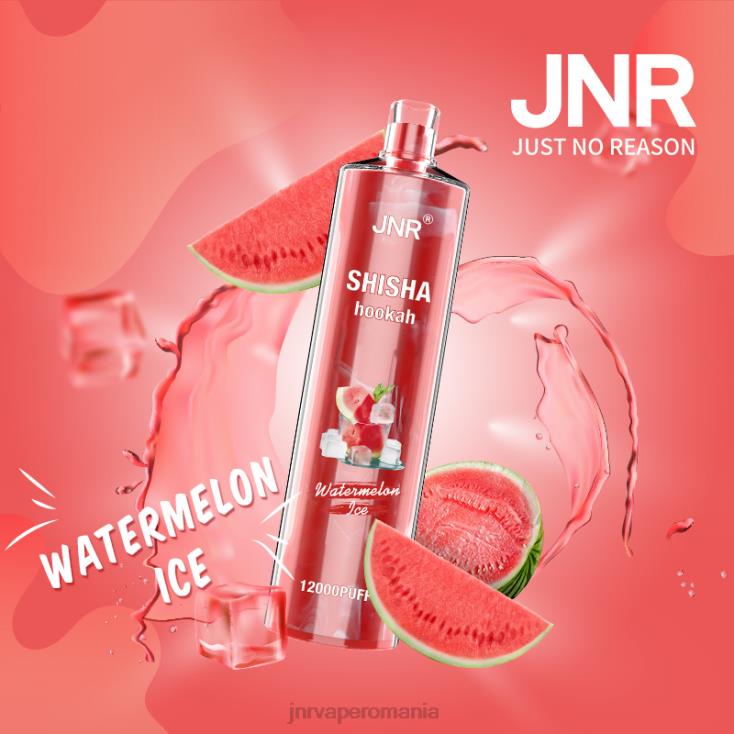 JNR vape nicotine content - jnr shisha gheata de pepene verde X058J179