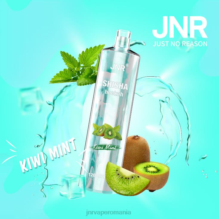 JNR vape nicotine content - jnr shisha menta kiwi X058J169