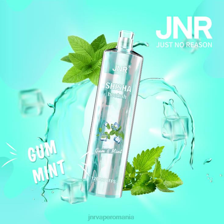 JNR vape review - jnr shisha gumă și mentă X058J164