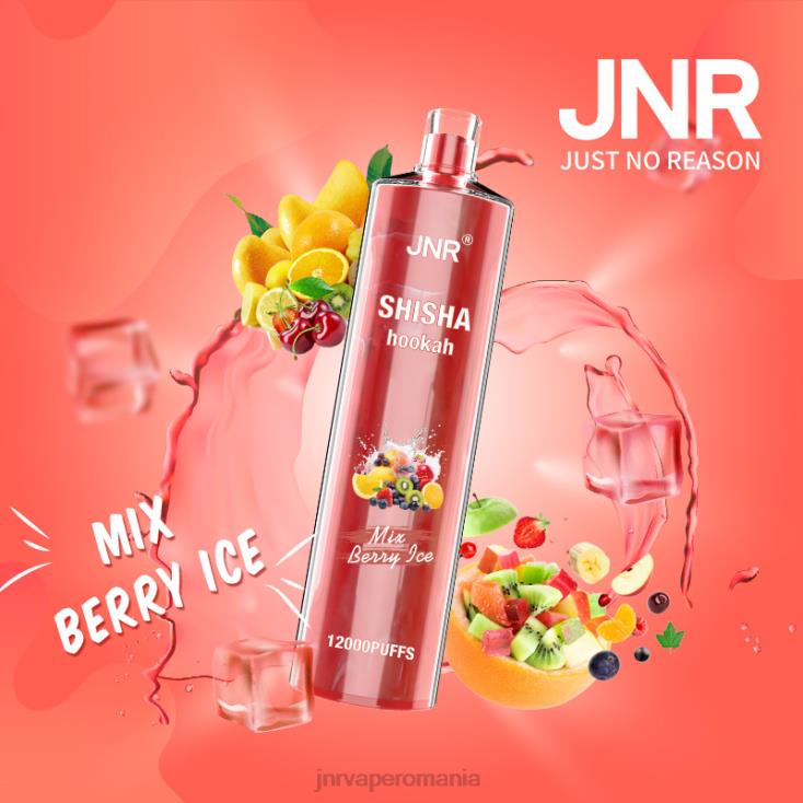 JNR vape shop - jnr shisha amestecați gheața din fructe de pădure X058J166