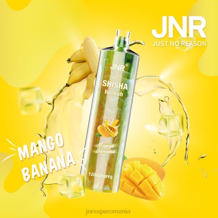 JNR vapes factory - jnr shisha banana mango X058J165