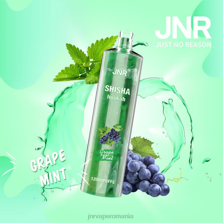 JNR vapes website - jnr shisha menta de struguri X058J171