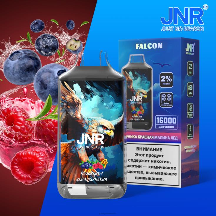 JNR vapes factory - jnr soim gheata de afine rodie fara fructe X058J215